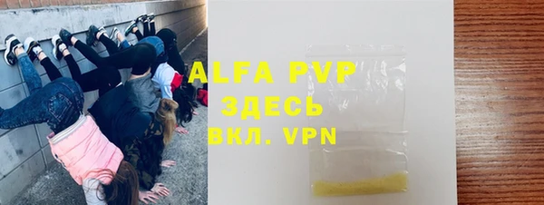прущие грибы Вязьма