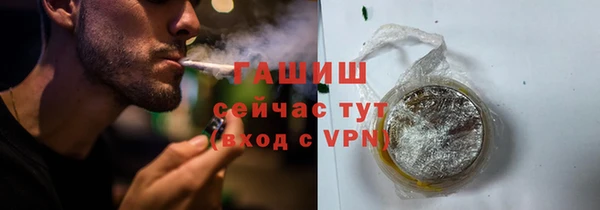прущие грибы Вязьма
