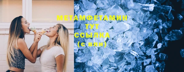 прущие грибы Вязьма